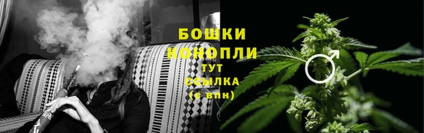 mix Богородицк