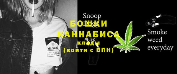 mix Богородицк