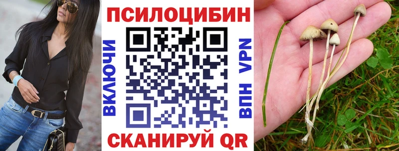Псилоцибиновые грибы прущие грибы  Купить где  Братск 