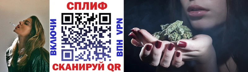 Купить где Братск Шишки марихуана SATIVA & INDICA